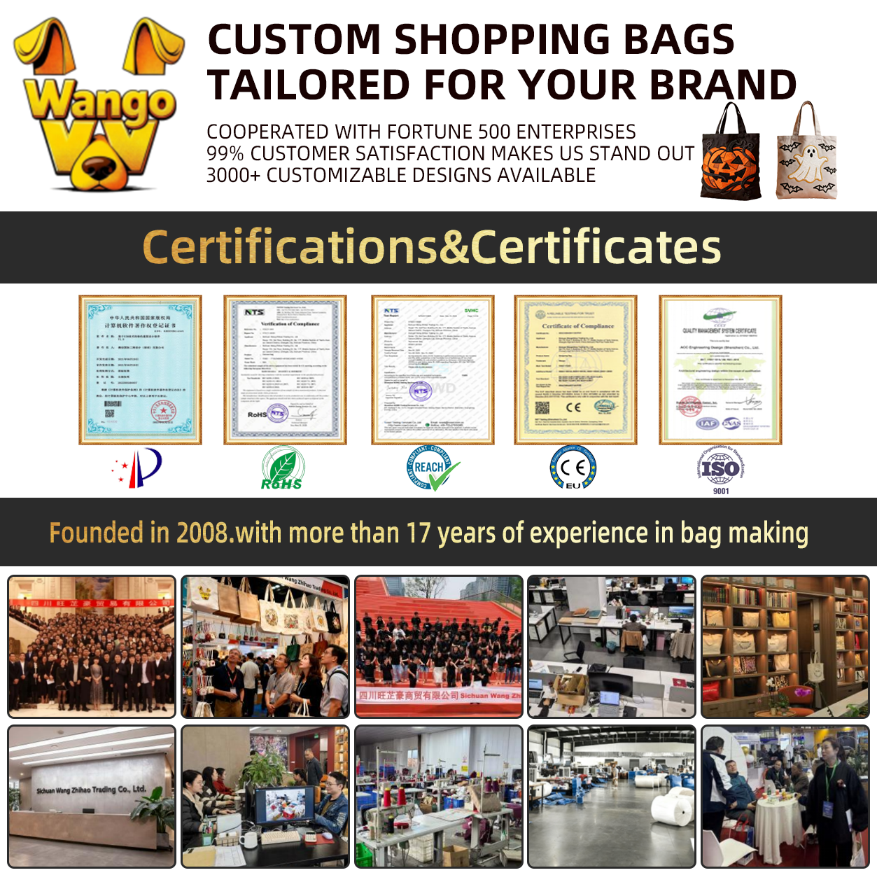 Vintage Style Panda Cartoon Canvas Bag High Quality Fashionable Shoulder Bag for Girls Casual Daily Use Shopping Tote