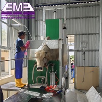 Mesin Rumah Potong Hewan Sapi Bersertifikat Halal Jalur Pemotongan Daging Sapi Baja Tahan Karat 304 Kontrol Otomatis Produktivitas Tinggi