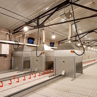Trémie d'alimentation pour poulet, stockage automatique, vis de volaille, convoyeur, ferme, Machine en acier