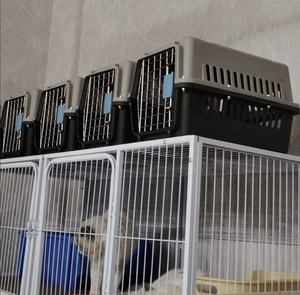 Personalizzato solido modello di plastica Air Box per piccoli animali domestici stile moderno gatto cane gabbia con pulsante di chiusura per i viaggi all'aperto in auto - Product Image 6