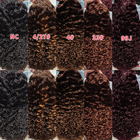 Promotion Letsfly 75$ Perruques bouclées birmanes 10A 250 grammes 18 pouces 13x4 Dentelle frontale 5 couleurs disponibles Cheveux vierges bruts 100% cheveux humains