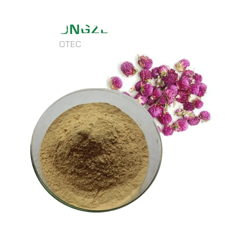 Bulk Supply Plant globe amaranth flower extract/globe amaranth extract