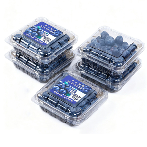 Scatola di imballaggio a conchiglia di mirtilli per animali domestici - Product Image 2