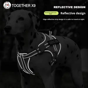 Laisse pour chien de taille moyenne/grande, harnais de marche, chaîne en nylon non rétractable, compatible Golden Retriever, <span class=keywords><strong>Labrador</strong></span>, plusieurs - Product Image 2