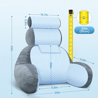 SUREWALHOME canapé soulagement de la douleur au dos oreiller coussin de soutien lombaire oreiller de lecture Portable pour s'asseoir au lit