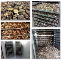 Fabriek Directe Verkoop Multifunctionele Verstelbare Temperatuur Warmtepomp Luchtdroger Voedsel Dehydrator Tabak Schuur Machine