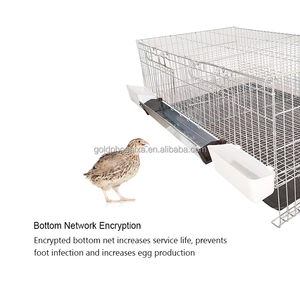 Lồng nuôi chim cút chất lượng cao YYC, xếp chồng được, tăng năng suất trứng - Product Image 5