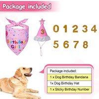 Kit de fournitures pour fête d'anniversaire de chien, bandana réglable et chapeau festif avec des chiffres pour toutes les tailles de chiens/