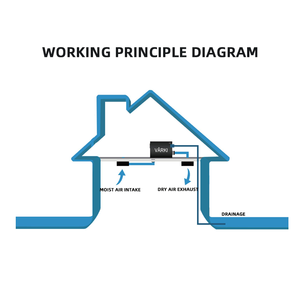 <span class=keywords><strong>Deshumidificador</strong></span> de Techo con Conductos de 28/38/45/58/60/78/98L/D, Venta Directa de Fábrica, para Sistemas de Deshumidificación de Aire en Invernaderos - Product Image 6