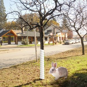 Protection <span class=keywords><strong>efficace</strong></span> contre les nuisibles, tube enveloppant en plastique, bouclier pour tronc d'arbre, protection contre les écureuils, les rats, les poulets, les lapins, accessoires <span class=keywords><strong>de</strong></span> protection contre les morsures - Product Image 6