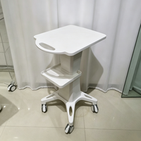 Chariot de rangement compact pour salon, à 2 niveaux, chariot roulant flexible pour petit studio et services de beauté mobiles