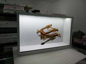 신형 55인치 터치스크린 3D 홀로그램 박스 디스플레이 수직 투명 LCD 홀로박스 카메라 및 마이크 포함 - Product Image 2