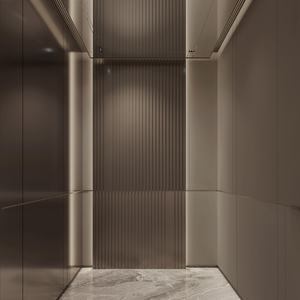 Ascenseur domestique moderne à traction sans engrenages en acier inoxydable avec plancher en PVC pour villa, maison à 2 étages, petit ascenseur résidentiel - Product Image 4