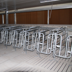 Nuevo Jaula <span class=keywords><strong>de</strong></span> Gestación para Cerdas Galvanizada en Caliente con Comedero y Bebedero <span class=keywords><strong>de</strong></span> Acero Inoxidable para Cría <span class=keywords><strong>de</strong></span> Cerdos a Gran Escala - Product Image 1