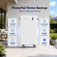 Batería de Almacenamiento de Energía Residencial Novoage Libra 16H 16KWh, 51.2V 314Ah LiFePO4, Bajo Voltaje, para Uso Solar Doméstico, 6000 Ciclos