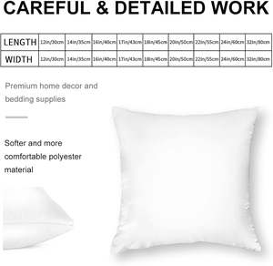 บริการผลิตปลอกหมอนอิงตามสั่ง - พิมพ์ลายดิจิทัล ปลอกหมอนอิงตกแต่งบ้านและโซฟา - Product Image 5