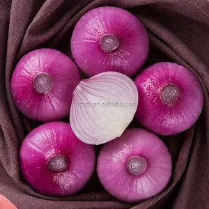 Cebollas Rojas orgánicas de alta calidad Nueva cosecha Variedades de exportación peladas frescas Saludables y naturales Buen precio al por mayor - Product Image 2