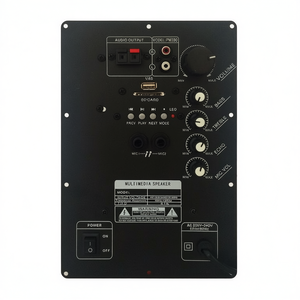 Módulo amplificador PM100 para altavoz, salida de audio, entrada USB, tarjeta SD, control de volumen del micrófono - Product Image 3