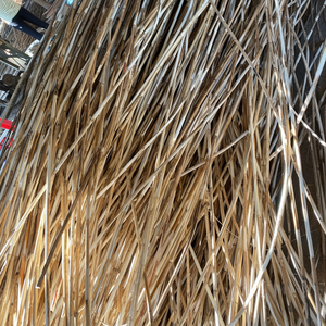 Bastón de caña de color natural de alta calidad materia prima ratán Rotin + 84947900124 - Product Image 1