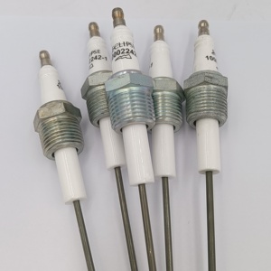 Électrode de détection d'allumage 20/5000 pour les États-Unis, sonde de détection, prise d'électrode 10002242-1, détecteur pour Stock200 - Product Image 2