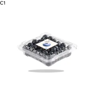 Factory Supply PET clamshell 250g blueberry container fresh blueberries plastic boxes for packaging fruit