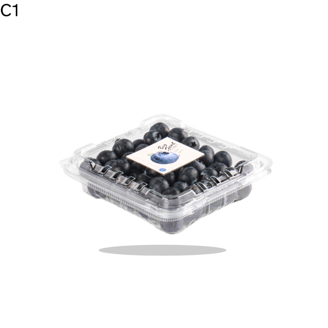 Factory Supply Transparent Plastic RPET Clamshell 125g Blueberry Container