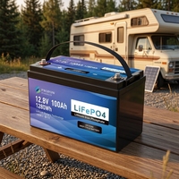 Série de batteries LiFePO4 12V 100Ah 120Ah 200Ah 280Ah 314Ah 460Ah 560Ah haute capacité, étanches, pour systèmes solaires, marins et de camping-cars