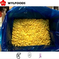 IQF Diepvries Mango Premium Kwaliteit Fruit Zoete Smaak Durian Halve Stukken Brokken Bulkverpakt Puree Kubussen China's Beste Leverancier