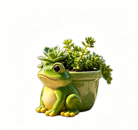 Pot de fleurs en céramique en forme de grenouille de dessin animé, finition mate, respirant, auto-arrosant, pour plantes succulentes, style pastoral, décoration de jardin intérieur/extérieur
