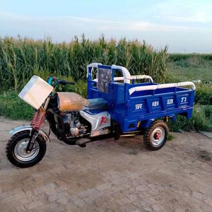 Поставка из Китая, оптовая продажа, <span class=keywords><strong>3</strong></span> колеса, 200cc 250cc, грузовой трехколесный велосипед, моторный сельскохозяйственный бензиновый мотоцикл - Product Image 2