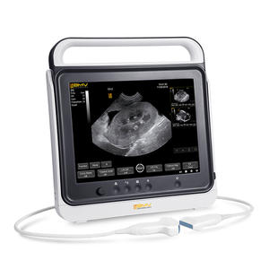 Scanner à ultrasons numérique léger BMV PT50A, équipement vétérinaire portable et léger avec écran tactile - Product Image 1