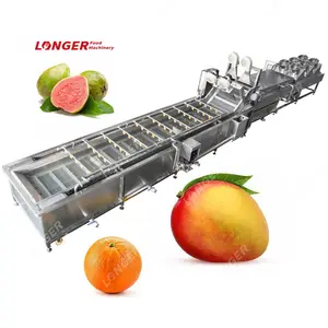 Gelgoog Goyave Krystal and Vegetable Cut Clean Air-Dry Equipment Orange Mango Fruit Wash Waxing Machine