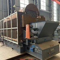 Chaudière DZL à vapeur pour la fabrication alimentaire, à combustion de charbon, structure durable et résistante à l'usure