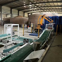 Palettiseurs robotiques CNC industriels : levage et placement efficaces de marchandises sur palettes, ainsi que de machines et d'équipements industriels