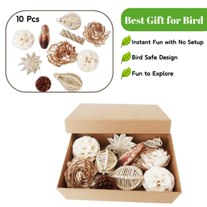 Interactive Eco-Friendly <strong>Parrot</strong> Shredding <strong>Toys</strong> Box Natural Bird <strong>Foraging</strong> Sola Ball <strong>Toy</strong> - Product Image 2