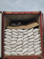 Soja noir sans OGM idéal pour la cuisson du lait de soja et des produits de santé