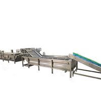 Gedroogde Automatische Ananas Appelverwerking Vriesdroge Verpakking Banaan Knapperige Appelchips Maken Machine Productielijn