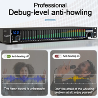Égaliseur graphique audio numérique professionnel Biner D331 à 31 bandes