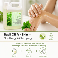Huile Essentielle de Basilic Doux Aromatique Ocimum Basilicum pour Formulation de Parfums, Marque Privée, OEM, ODM, Vente en Gros, Approvisionnement en Vrac, USDA