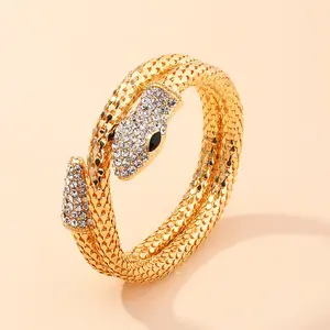 Personality Punk Designer Gold Plated Jewellery Snakeshapechain Necklace Bracelets Set Crystal Diamond Bangles For Women