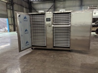 Commerciële machine voor het snijden van golvende aardappelchips, 304 roestvrij staal, motor, capaciteit 500-2000 kg/uur voor continu batchsnijden van fruit