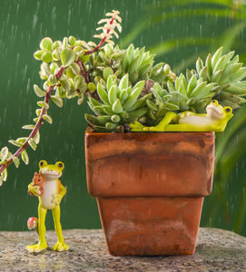 Pot de fleurs miniature en résine, décoration d'animal grenouille traditionnelle personnalisée et créative, accent pour plantes succulentes, jardin de bureau mignon - Product Image 2