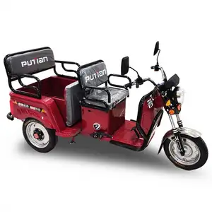 Inexpensive 2 Seater Electric Trishaw For Adults Electric Bicycle Three Wheel Low Price Electric Tricycles
