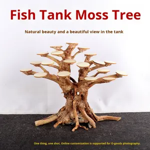 ต้นไม้โมสตกแต่งตู้<span class=keywords><strong>ปลา</strong></span>สมัยใหม่ ไม้ลอยน้ำ ซัมเบิลวูด กิ่งไม้ไทย หินมังกรเขียว รูปทรงต้นไม้ธรรมชาติ - Product Image 3