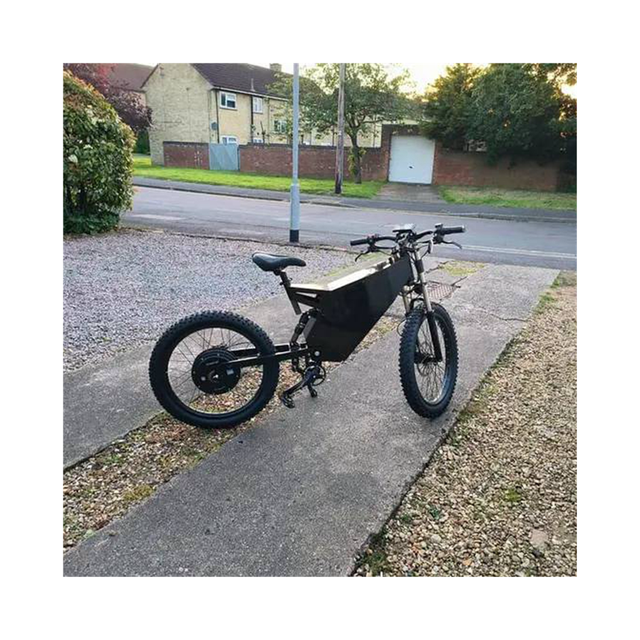 Ebike Electric Mountain Bike Black or White Fast Other Electric Bike Ready to Ship Brand New Electric Fat Tire Bike