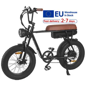 Bicicleta eléctrica de largo alcance para adultos, de 48V e-bike, 750W, 12,5ah, 1000W, 17,5ah, batería de litio de neumático ancho, almacén de la UE, urbana, Retro