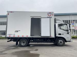 New -20 Centigrade Grande Capacité Freeze Van Wuling Cargo Van <span class=keywords><strong>Camion</strong></span> Réfrigéré pour Viande et Poisson Légumes Fruits Crème Glacée - Product Image 5