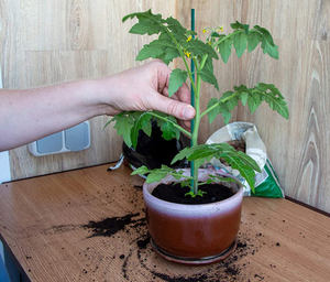 Varillas de fibra de vidrio de productos agrícolas de estaca de vivero Frp de alta calidad - Product Image 3