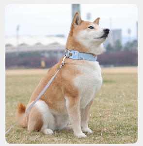 Collar de nailon de lujo personalizado ajustable para perro, collar de entrenamiento duradero con estampado de correas con grabado láser - Product Image 4