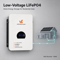 Batterie de stockage d'énergie domestique LiFePO4 basse tension murale pour système solaire résidentiel